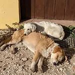 Holiday home Valvida *