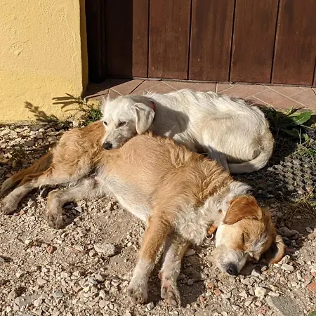 Casa vacanze Valvida *