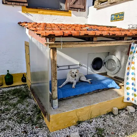 Сasa de vacaciones Valvida *