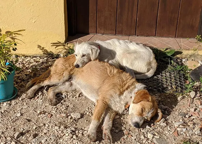 Σπίτι διακοπών Valvida *